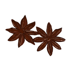 Star anise vector