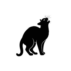 black cat silhouette