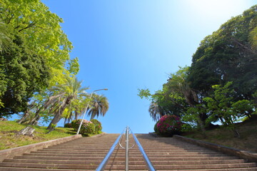 青空へと続く階段と植物の緑