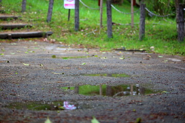 雨の公園と水たまり