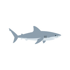 Fototapeta premium Flat vector illustration of a shark, simple minimal cartoon design in grey color, isolated, strong ocean predator style