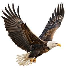 Obraz premium Soaring Eagle in Flight: A majestic bald eagle in mid-flight, showcasing its powerful wingspan and keen eyesight, represents freedom, strength, and unwavering focus.