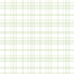 Soft Mint Green and White Plaid Pattern