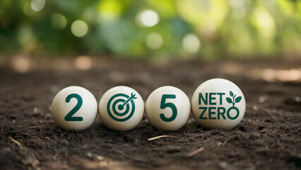 Net zero target by 2050, ecological sustainability and environmental goals