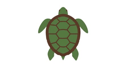 Simple Green Sea Turtle Illustration