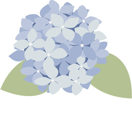 vector illustration of a blue flower