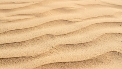 Serene desert landscape with gentle sand dunes