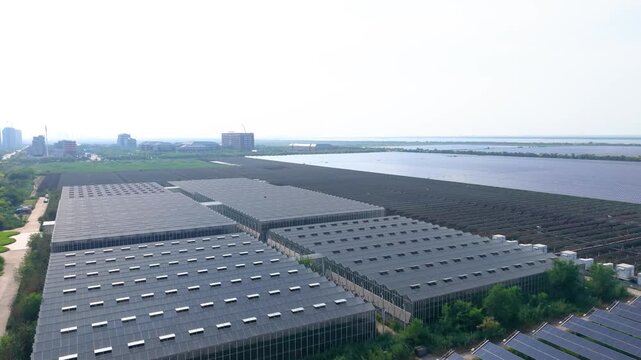 Photovoltaic solar panels in Tianjin Binhai New Area
