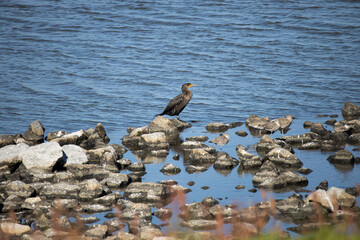 In celebration of Earth Day