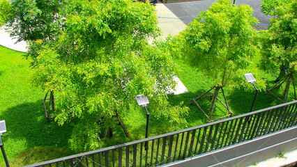Fresh garden view with tall trees and trimmed lawn, softened in retro tones with film grain texture for a vintage mood.