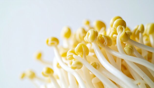 Macro Shot of Fresh Korean Bean Sprouts Highlighting Crisp Texture and Detailed Vegetable Closeup for Healthy Food and Nutrition Concepts