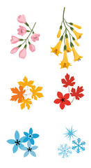 Seasonal floral and snowflake graphics representing spring summer autumn and winter nature