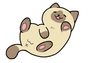 ごろん猫(茶シャム)