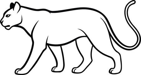 vector illustration of a tiger