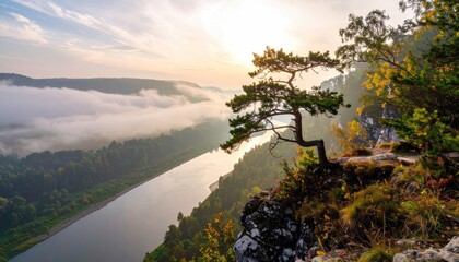 Sunrise bathes a tree on a cliff overlooking a valley filled with fog, with a river snaking through the green, autumn forest below