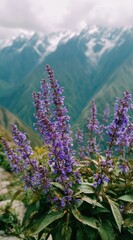 Purple wildflower cluster blooms foregrounded against misty, rugged mountain vista, offering a peaceful, natural scene in a vertical format