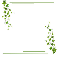 green leaves frame