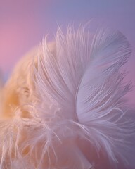A soft, ethereal close-up of a white feather with fluffy texture, set against a dreamy gradient background of pink, lavender, and muted yellow