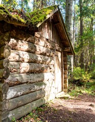 Naklejka premium Rustic log cabin nestled in woods