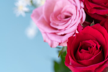  美しい薔薇の花束
