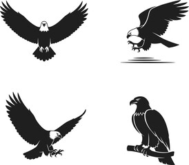 Obraz premium Collection of four bald eagle silhouettes in different poses, showcasing majestic birds of prey