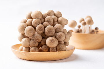 Fresh brown Shimeji mushroom on wooden plate with white background, Asian edible mushroom, Food ingredients