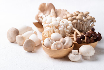 Champignon, Yanagi, Shimeji, oyster and King trumpet mushroom on white background.Asian edible mushroom, Food ingredients