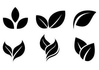 Fototapeta premium set of leaves