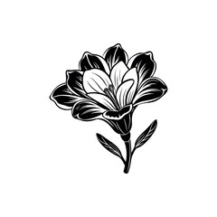 Elegant black and white amaryllis flower with artistic and stylized design elements silhouette vector