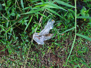 Close-up view of plastic bag waste on the grass.