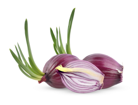shallots isolated on transparent png