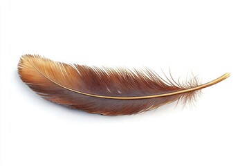 Close-up of a single brown feather with detailed barbs and soft texture lying on a white background, evoking a delicate and natural feel