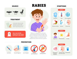 Rabies infographic design with man character. Vector poster template showing causes, symptoms, treatment, and prevention for medical education, healthcare awareness, chart illustration banner.