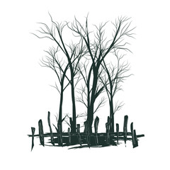 silhouette of a tree and wodden fenced