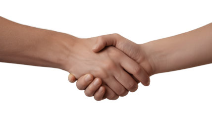 Professional handshake symbolizing agreement, partnership, and successful collaboration in business deals