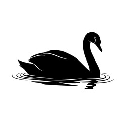 black and white swans