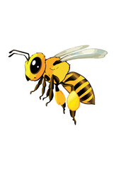 bee on white background