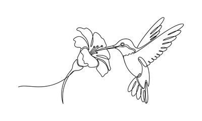 Obraz premium A hummingbird depicted in a single continuous line drawing feeding on nectar from a lily flower design