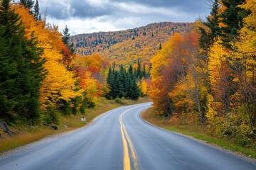 Curvy Road Through Autumn Forest