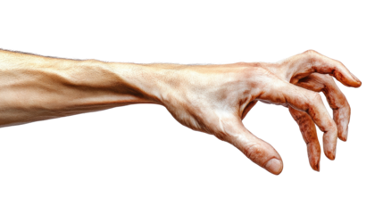 Male Hand grasping something or catching isolated on PNG white background.