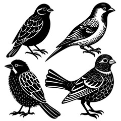 Vector art of a charming compilation of four unique bird illustrations, each displaying intricate details and distinct characteristics