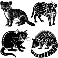 Vector art of collection of four civets in black and white, showcasing different patterns and poses