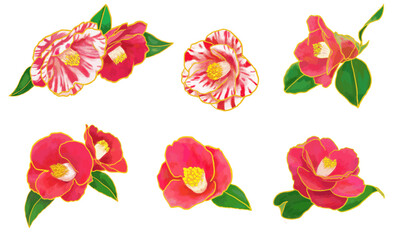 手描き椿の素材