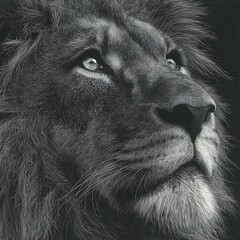 Stunning lion face in black pencil drawing high resolution picture
