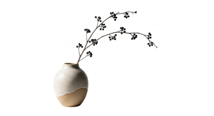 Minimalist ceramic vase with dried branches isolated on transparent background