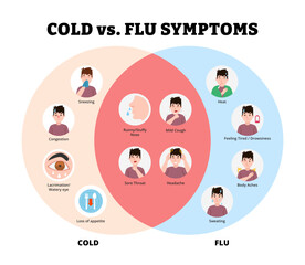 Cold or Flu infographic design with man character. Vector poster template showing causes, symptoms, treatment, and prevention for medical education, healthcare awareness, chart illustration banner.