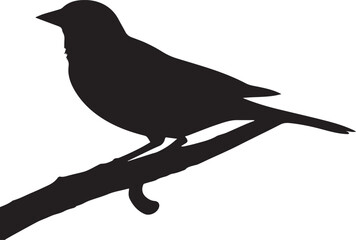 Silent Perch- A Bird in Still Contrast Silhouette design