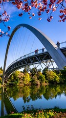 Fototapeta premium Modern arch bridge over river, cherry blossoms
