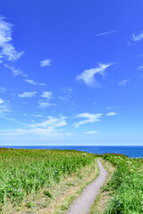 青空の霧多布岬を歩く
