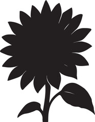 A beautiful sunflower silhouette design eps and illustration